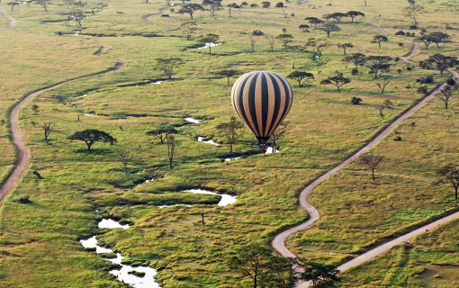 Essential Tanzania Safari