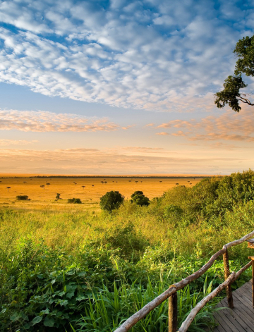 The Kenya Classic Safari