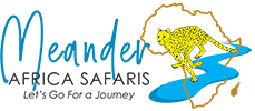 Meander Africa Safaris